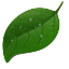 coda
