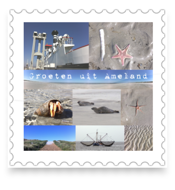 collage image title