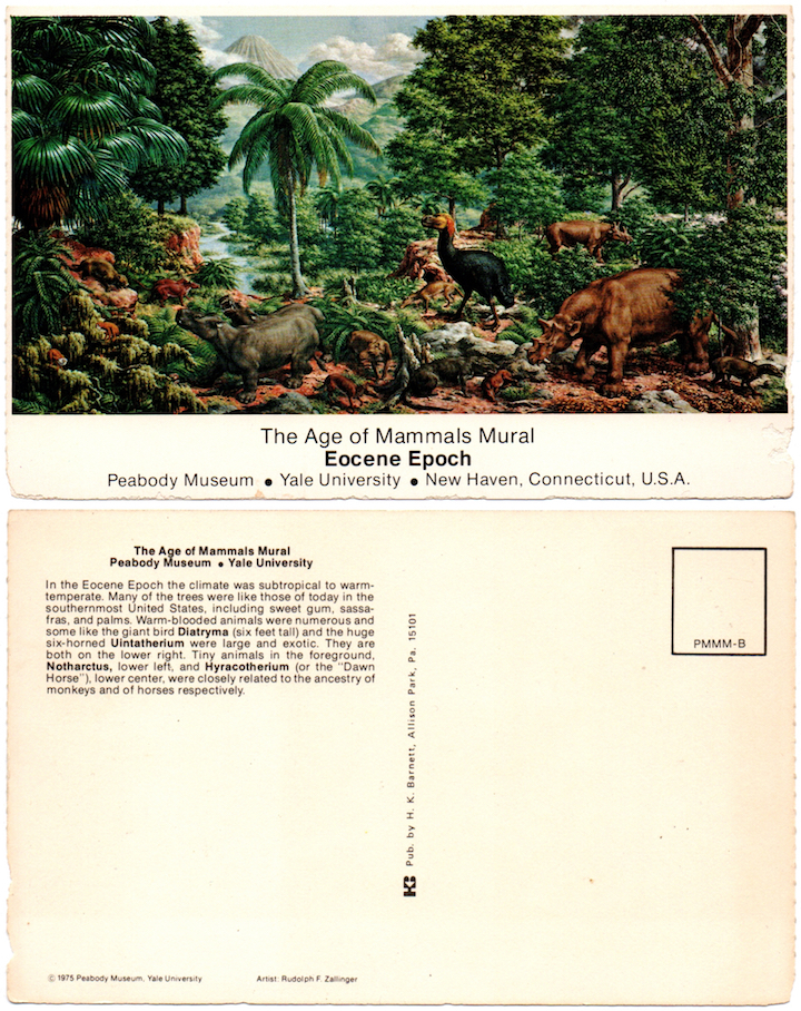 1975.Peabody Museum - The Age of Mammals Mural - Eocene Epoch