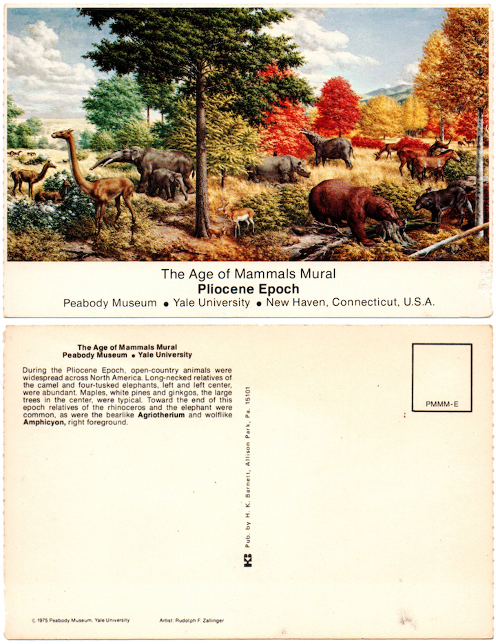 1975.Peabody Museum - The Age of Mammals Mural - Pliocene Epoch
