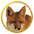 logo 50x50
